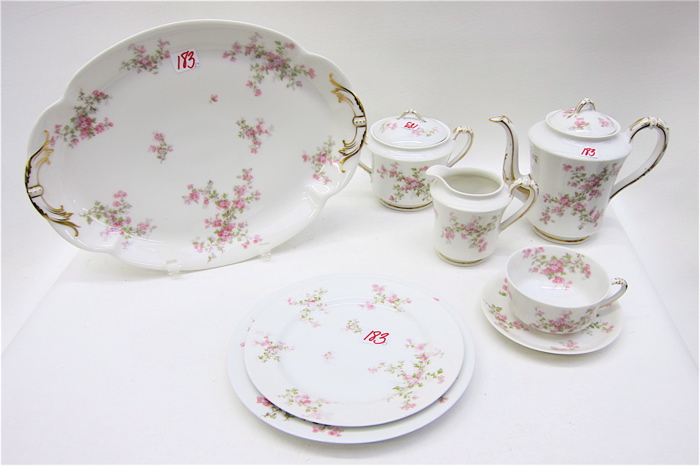 TWENTY-NINE PIECE SET HAVILAND FINE
