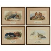 TWENTY-THREE WATERCOLOURS OF S