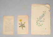 TWO 18TH CENTURY BOTANICAL COL
