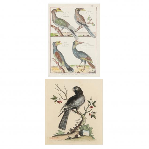 TWO 18TH-CENTURY ORNITHOLOGICAL