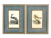 TWO 19TH C. BOOKPLATES, HANDCO