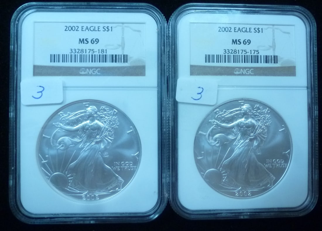 TWO 2002 99% SILVER BULLION