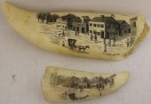 TWO 20TH C SCRMSHAW WHALE TEET