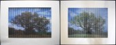 Two accordion style photograph