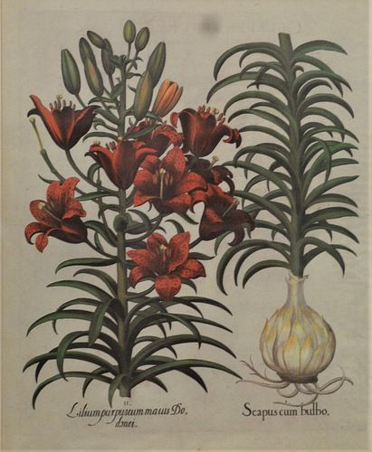 TWO AFTER BASILIUS BESLER