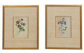 TWO AFTER P.J. REDOUTE FLORAL