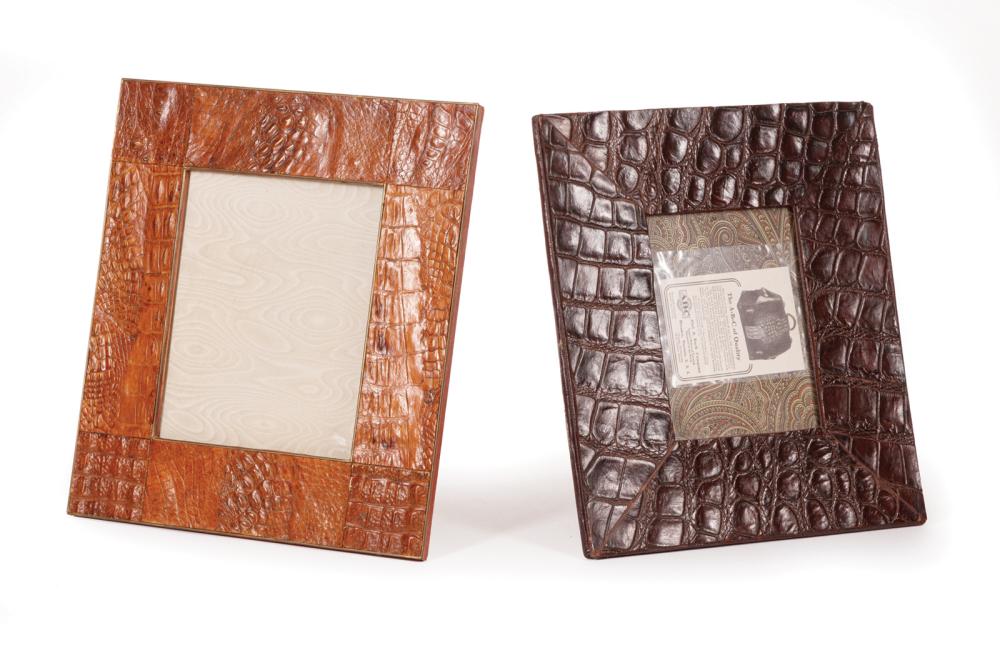 TWO ALLIGATOR SKIN PICTURE