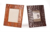 TWO ALLIGATOR SKIN PICTURE FRA