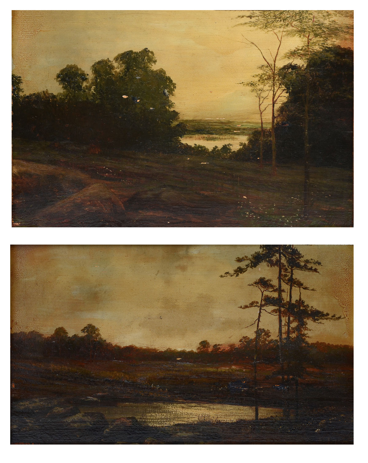 TWO AMERICAN SCHOOL LANDSCAPE