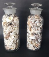 TWO ANTIQUE APOTHECARY JARS FI