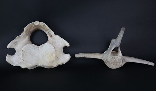 TWO ANTIQUE WHALE VERTEBRAE