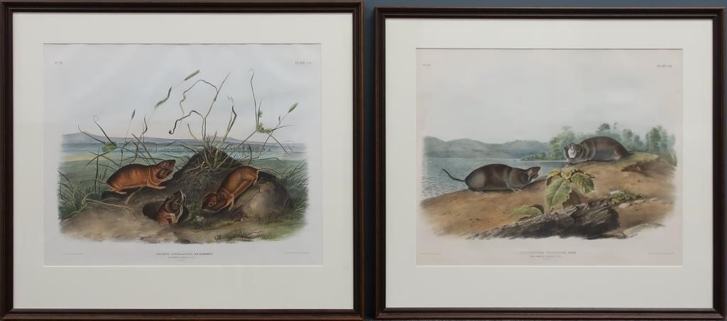 Two aquatints, after J.W.