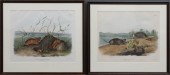 Two aquatints, after J.W. Audu