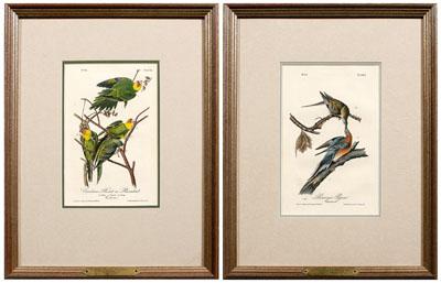 Two Audubon Royal Octavo prints: