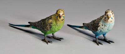 Two Austrian bronze parakeets: cold