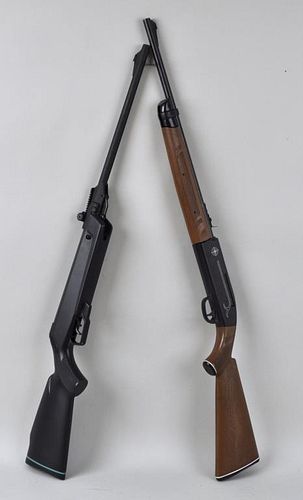 TWO BB GUNS, CROSMAN & GAMOa