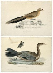 Two Benjamin Hawkins lithograp