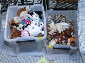 TWO BINS OF DOG & CAT BEANIE B