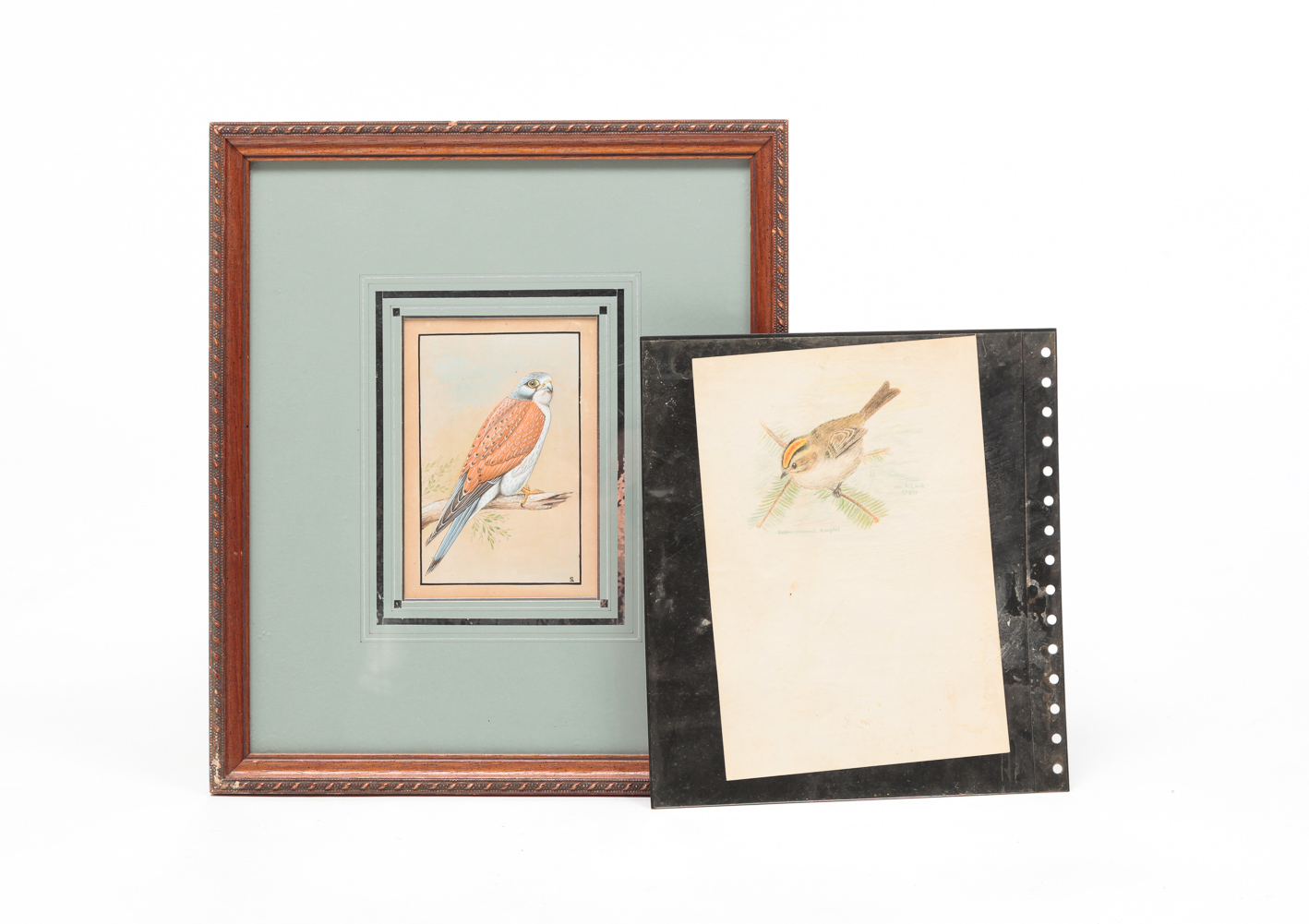 TWO BIRD PAINTINGS. American,