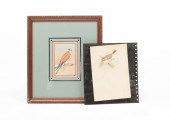 TWO BIRD PAINTINGS. American,