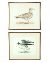 TWO BIRD PRINTS BY JOHN PRIDEA