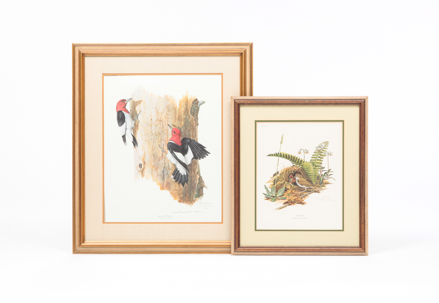 TWO BIRD PRINTS, RAY HARM.
