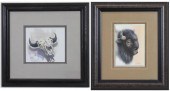 TWO BISON DRAWINGS: LEE CABLET