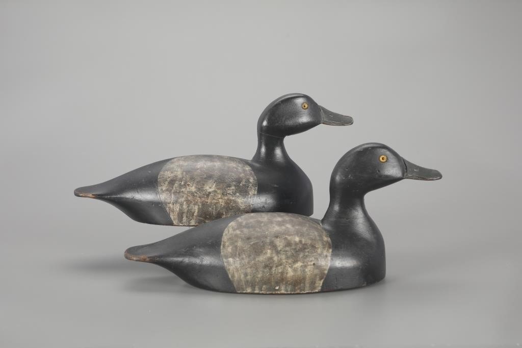TWO BLUEBILL DRAKESUpstate New
