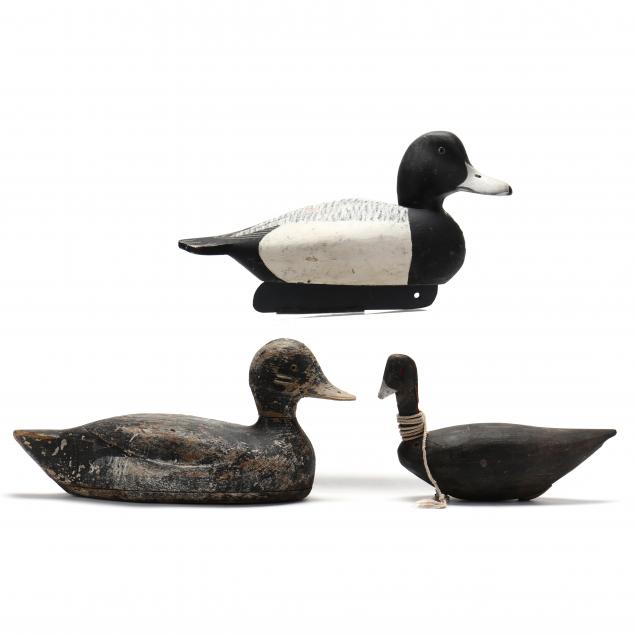 TWO BLUEBILLS AND A COOT DECOY 20th