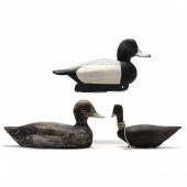 TWO BLUEBILLS AND A COOT DECOY