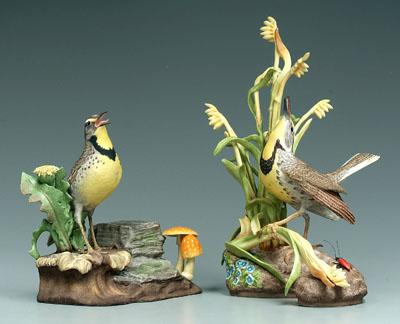 Two Boehm bird figurines: