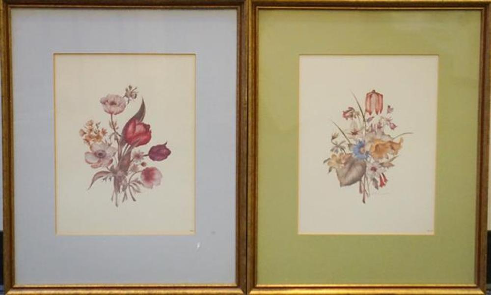 TWO BOTANICAL COLOR PRINTS, FRAMED,