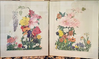 Two botanical lithographs, Summer