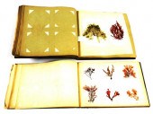 Two c.1870 albums with 300+ se