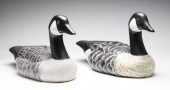 TWO CANADA GEESE BY DAVE FRIER