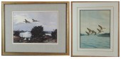 TWO CANADIAN GEESE WATERCOLORS
