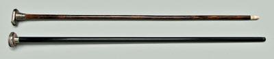 Two canes, compass and match