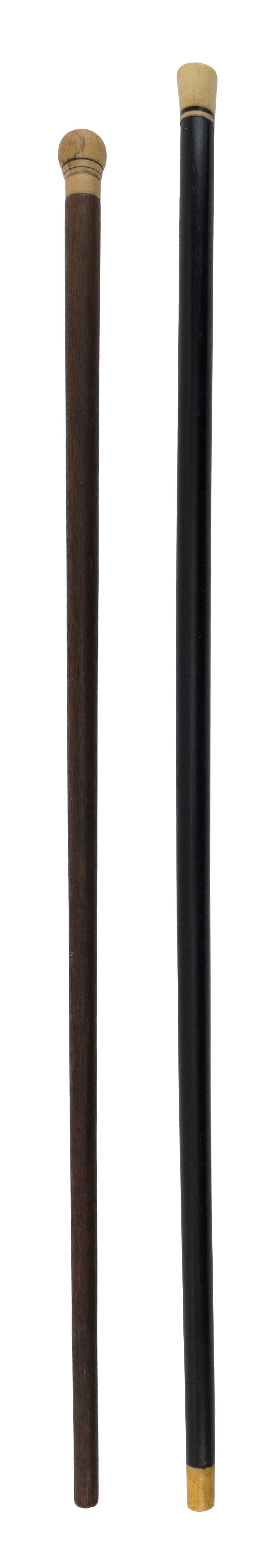 TWO CANES WITH WHALE IVORY