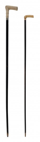 TWO CANESTWO CANES,   1) L-sha