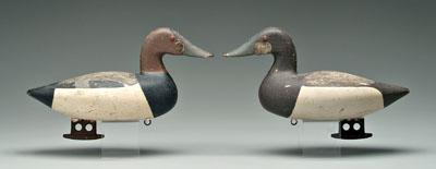 Two canvasback duck decoys: applied