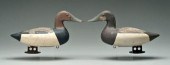 Two canvasback duck decoys: ap
