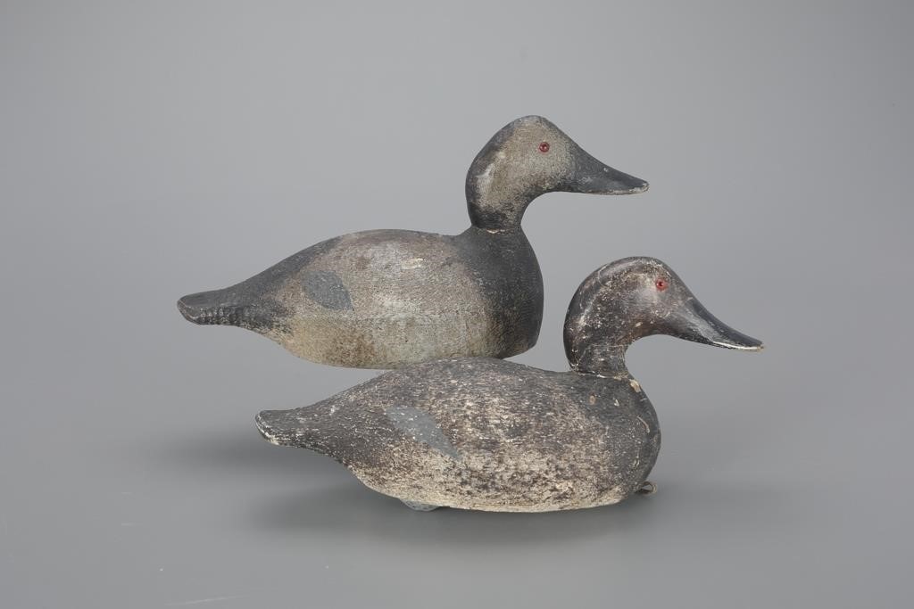 TWO CANVASBACK HENSEvans Duck Decoy