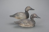 TWO CANVASBACK HENSEvans Duck