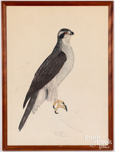TWO CARROLL TYSON SIGNED BIRD