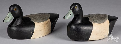 TWO CARVED AND PAINTED BROADBILL
