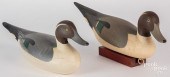 TWO CARVED AND PAINTED PINTAIL