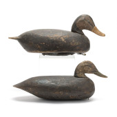 TWO CHINCOTEAGUE BLACK DUCKS<b