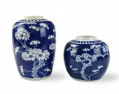 TWO CHINESE BLUE & WHITE PRUNE