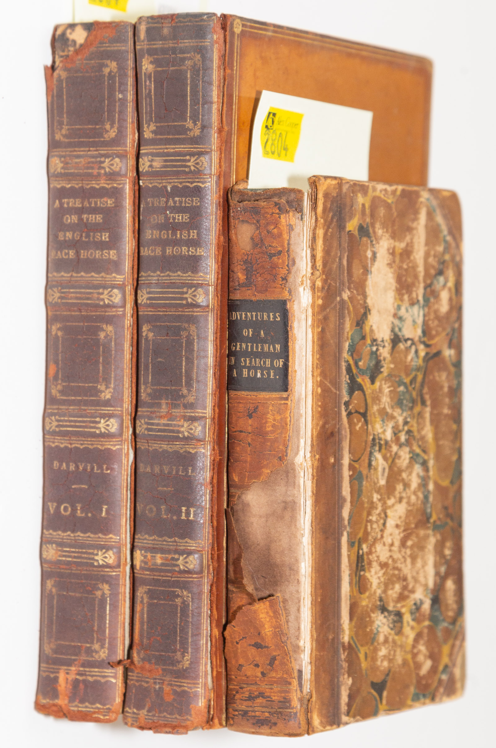 TWO CLASSIC TITLES ON HORSES &