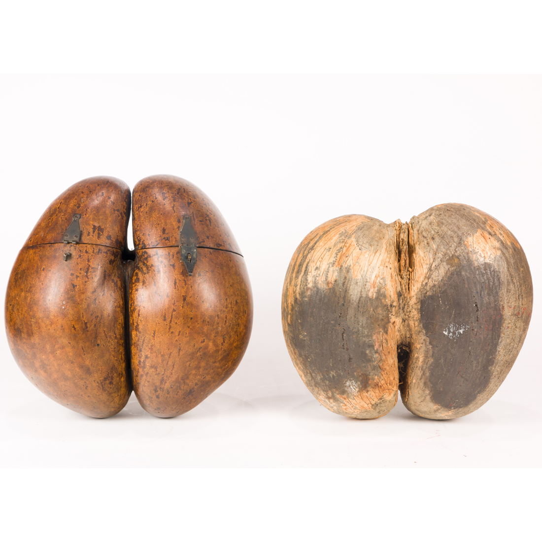 TWO COCO DE MER NUTS, ONE MOUNTED